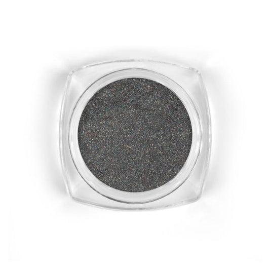 Stardust glitter Holo Silver