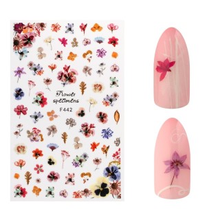Nail art tarra F442